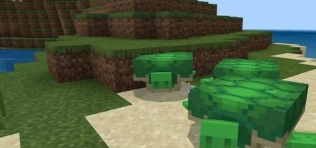 我的世界如何驯服海豚,掌握互动技巧,开启海洋冒险 我的世界如何驯服海豚,掌握互动技巧,开启海洋冒险