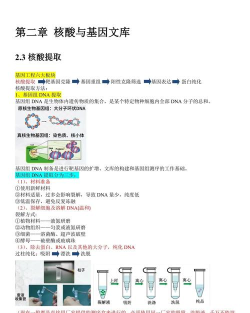 如何获得基因,了解获取途径,掌握基本方法 如何获得基因,了解获取途径,掌握基本方法