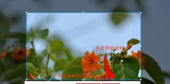 qq怎么录像,操作步骤详解,常见问题解答 qq怎么录像,操作步骤详解,常见问题解答