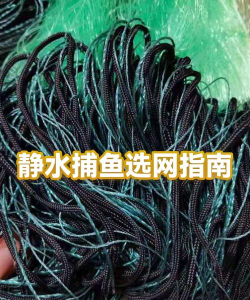 捕鱼网,怎么选,怎么用,新手必看 捕鱼网,怎么选,怎么用,新手必看