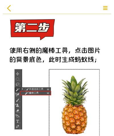 魔棒如何抠图,快速掌握技巧,轻松处理图片 魔棒如何抠图,快速掌握技巧,轻松处理图片