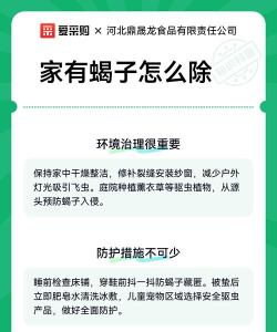 蝎子如何抓,安全第一,方法要准 蝎子如何抓,安全第一,方法要准