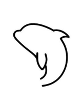 海豚怎么画的,简单几步,轻松上手 海豚怎么画的,简单几步,轻松上手