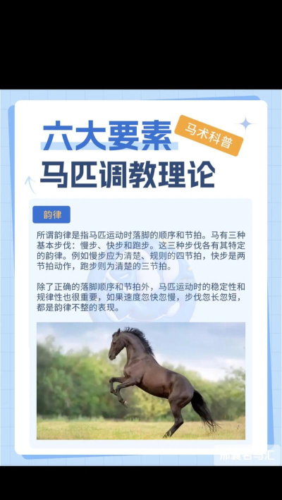 怎么训马,掌握基本方法,建立信任关系 怎么训马,掌握基本方法,建立信任关系