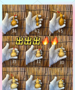 如何开葫芦,轻松上手,掌握实用技巧 如何开葫芦,轻松上手,掌握实用技巧