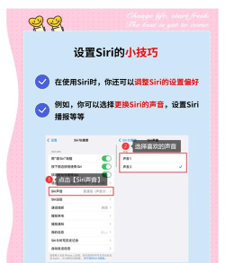Siri怎么说,唤醒方式,常见问题 Siri怎么说,唤醒方式,常见问题