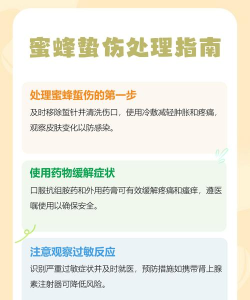 如何捕捉蜜蜂,安全有效,避免被蜇伤 如何捕捉蜜蜂,安全有效,避免被蜇伤