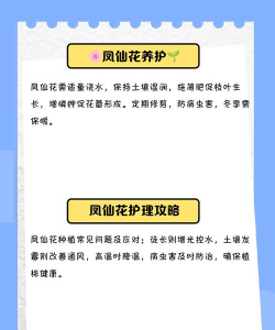 怎么样种花,新手入门指南,轻松上手不踩坑 怎么样种花,新手入门指南,轻松上手不踩坑