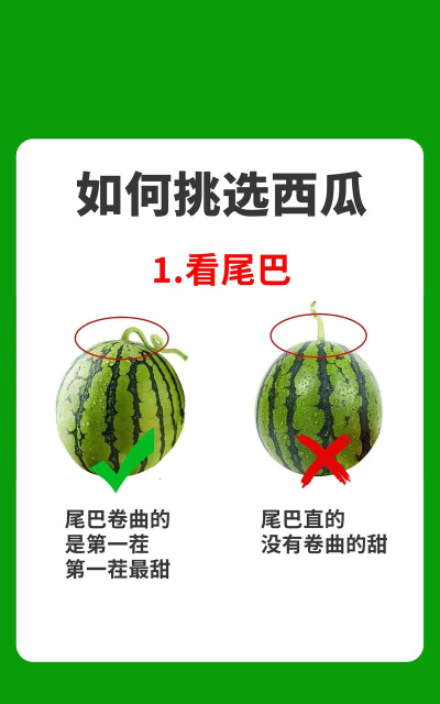 西瓜视频怎么拍,新手入门指南,快速上手技巧 西瓜视频怎么拍,新手入门指南,快速上手技巧