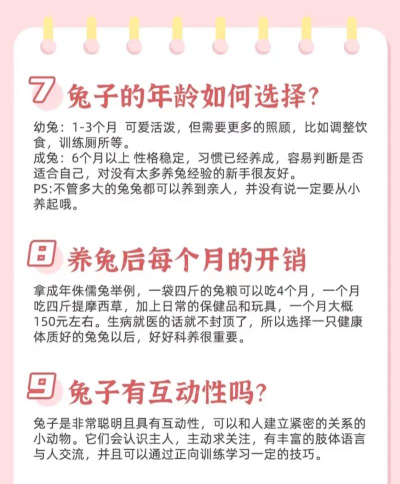 怎么养小兔子,新手入门指南,常见问题解答 怎么养小兔子,新手入门指南,常见问题解答