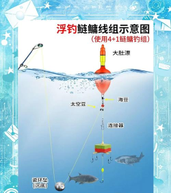 海边怎么钓鱼,新手入门技巧,常见问题解答 海边怎么钓鱼,新手入门技巧,常见问题解答