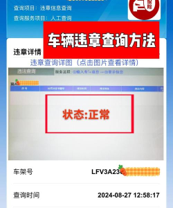 手机查违章怎么查,快速了解流程,避免操作误区 手机查违章怎么查,快速了解流程,避免操作误区