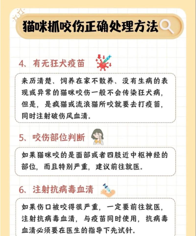 如何抓猫咪,避免受伤,掌握正确方法 如何抓猫咪,避免受伤,掌握正确方法