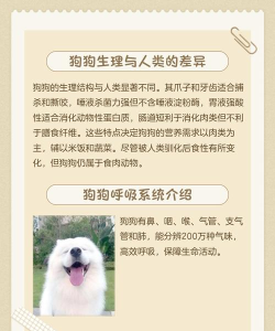 狗是如何繁殖,了解基本过程,掌握关键要点 狗是如何繁殖,了解基本过程,掌握关键要点