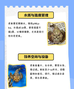 虎鱼怎么吃,处理技巧,家常做法 虎鱼怎么吃,处理技巧,家常做法