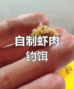 如何制虾饵,提升钓鱼效果,掌握核心技巧 如何制虾饵,提升钓鱼效果,掌握核心技巧