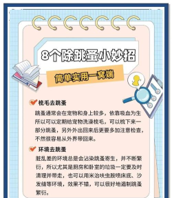 跳蚤怎么抓,快速有效方法,家庭实用技巧 跳蚤怎么抓,快速有效方法,家庭实用技巧