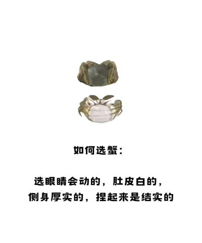 怎么弄螃蟹,处理技巧,烹饪方法 怎么弄螃蟹,处理技巧,烹饪方法