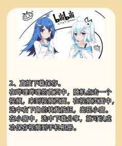 如何获取b站视频封面,两种常用方法,操作步骤详解 如何获取b站视频封面,两种常用方法,操作步骤详解
