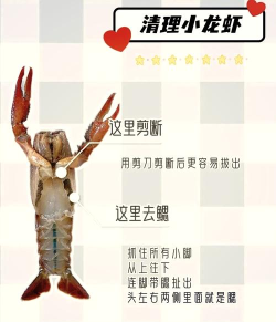 怎么刷龙虾,清洗技巧分享,轻松处理不费劲 怎么刷龙虾,清洗技巧分享,轻松处理不费劲