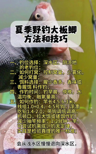 如何吊鱼,新手入门,实用技巧分享 如何吊鱼,新手入门,实用技巧分享