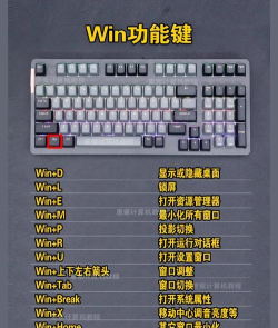 率怎么打,键盘输入方法,快速掌握技巧 率怎么打,键盘输入方法,快速掌握技巧