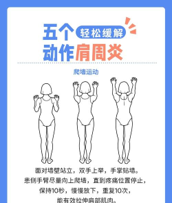 如何晃肩,动作要领,常见误区 如何晃肩,动作要领,常见误区