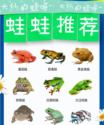 如何泥蛙,养殖方法,常见问题解答 如何泥蛙,养殖方法,常见问题解答