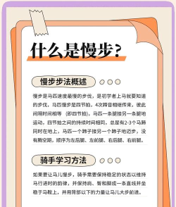 怎么驯服马,建立信任关系,掌握基础技巧 怎么驯服马,建立信任关系,掌握基础技巧