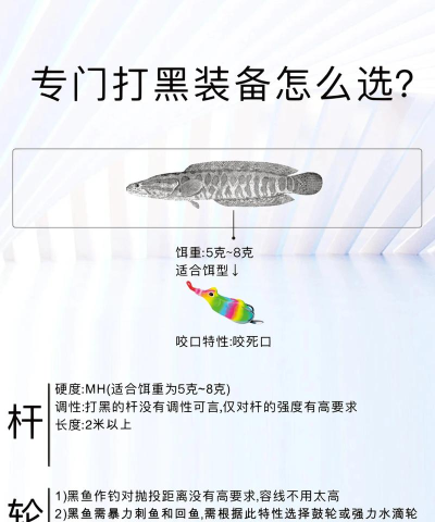 如何钓光鱼,掌握关键技巧,提升上钩率 如何钓光鱼,掌握关键技巧,提升上钩率