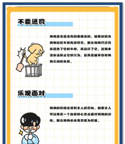 怎么驯服小狗,建立良好关系,让它听话又亲人 怎么驯服小狗,建立良好关系,让它听话又亲人