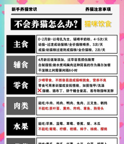怎么溜猫,安全又轻松,新手也能上手 怎么溜猫,安全又轻松,新手也能上手