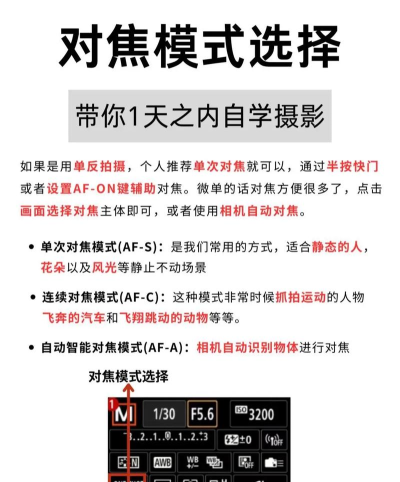 相机怎么玩,新手入门指南,快速上手技巧 相机怎么玩,新手入门指南,快速上手技巧