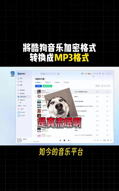 下载音乐,免费方法,安全可靠 下载音乐,免费方法,安全可靠