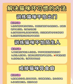 怎么抓住猫,掌握正确方法,避免伤害它 怎么抓住猫,掌握正确方法,避免伤害它