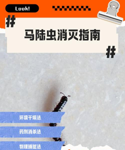 如何捉甲虫,找准时机,掌握方法 如何捉甲虫,找准时机,掌握方法