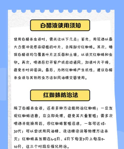 怎么杀蜘蛛,常见方法,实用建议 怎么杀蜘蛛,常见方法,实用建议