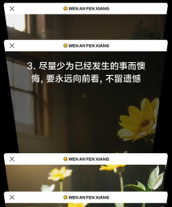 如何不悔,掌握生活选择,减少遗憾发生 如何不悔,掌握生活选择,减少遗憾发生