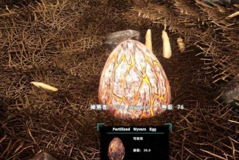 方舟怎么孵蛋,孵化步骤详解,常见问题解答 方舟怎么孵蛋,孵化步骤详解,常见问题解答