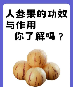 怎么点化超级人参果,掌握核心技巧,提升成功概率 怎么点化超级人参果,掌握核心技巧,提升成功概率