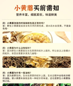 蘑菇怎么养,掌握关键步骤,轻松收获美味 蘑菇怎么养,掌握关键步骤,轻松收获美味