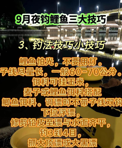 如何钓鲤鱼野钓,掌握核心技巧,提升上鱼率 如何钓鲤鱼野钓,掌握核心技巧,提升上鱼率