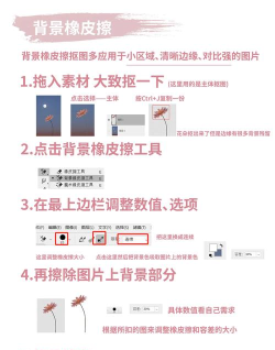 抠图,怎么操作,新手也能学会 抠图,怎么操作,新手也能学会