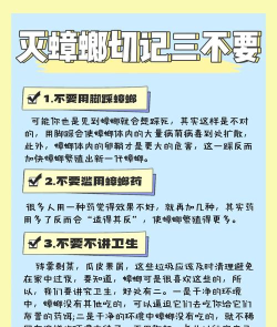怎么打蟑螂,快速有效方法,家庭实用技巧 怎么打蟑螂,快速有效方法,家庭实用技巧