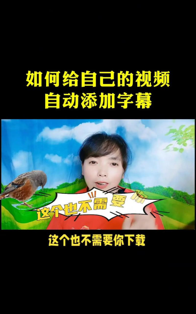 视频怎么编辑文字,添加字幕技巧,提升观看体验 视频怎么编辑文字,添加字幕技巧,提升观看体验