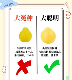 怎么样的果实,挑选方法,口感判断 怎么样的果实,挑选方法,口感判断