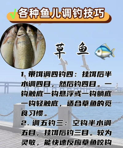 鱼不咬钩怎么办,找准原因,调整策略 鱼不咬钩怎么办,找准原因,调整策略