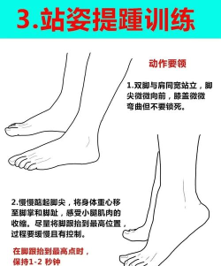 踮脚尖,锻炼小腿肌肉,改善身体平衡 踮脚尖,锻炼小腿肌肉,改善身体平衡