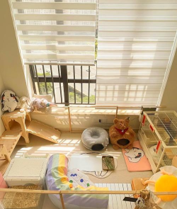 兔子窝怎么做,材料选择,搭建步骤 兔子窝怎么做,材料选择,搭建步骤