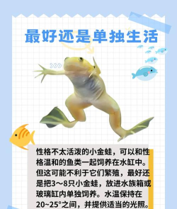 怎么养青蛙,了解基本习性,掌握饲养要点 怎么养青蛙,了解基本习性,掌握饲养要点